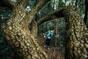 BIB: 
                            <button type="button" onclick="openModal(25394063)" class="btn btn-primary btn-sm float-right btn-popup" data-toggle="modal" data-target=".modal-high-quality">
                        <i class="fas fa-shopping-cart"></i> Add to Cart
                    </button>
                                            <button type="button" onclick="isThisMe(25394063, true)" class="btn btn-success btn-sm float-right btn-popup btn-isme hidden" data-toggle="tooltip" data-placement="bottom" title="นี่คือรูปของคุณใช่ไหม คลิกที่นี่เพื่อเอาเข้าอัลบั้ม">
                        <i class="fas fa-plus"></i> Add to album
                    </button>
                    <button type="button" onclick="isThisMe(25394063, false)" class="btn btn-warning btn-sm float-right btn-popup btn-isnotme hidden">
                        <i class="fas fa-ban"></i> Remove from album
                    </button>